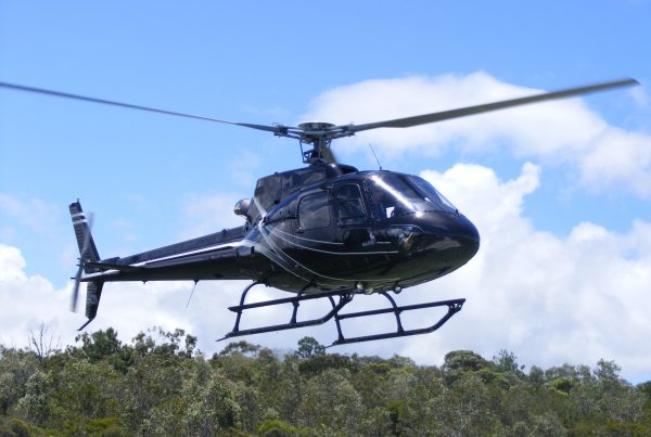 AS350 B2 New Paint